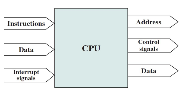 Interconnection Structure: Processor